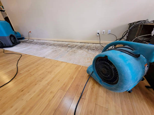 Professional Water Removal technician working in Greenbank, WA